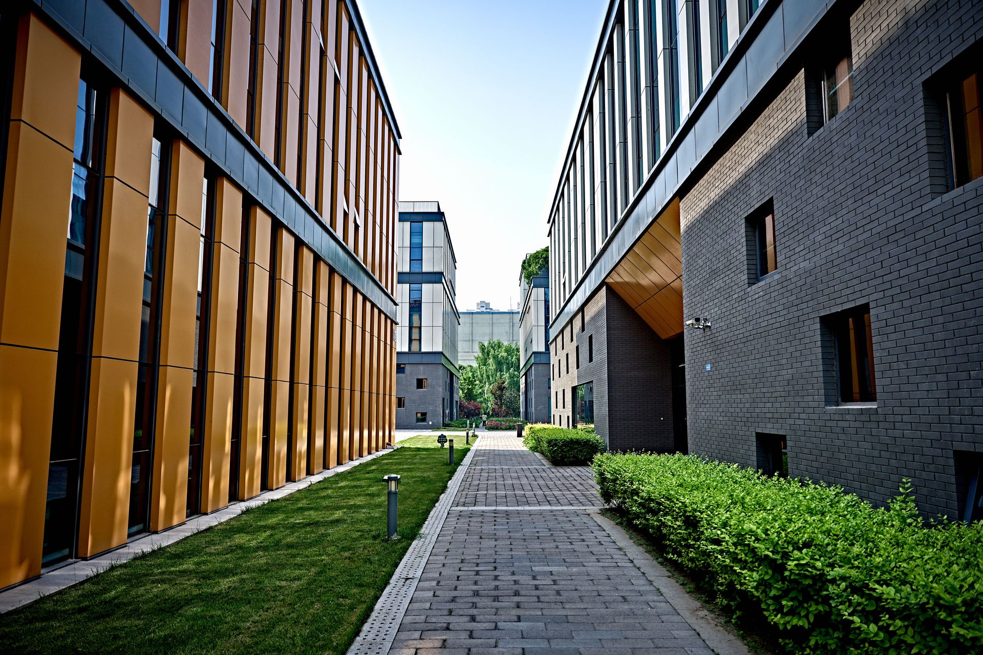 Vibrant view of modern office buildings with pathway and greenery.